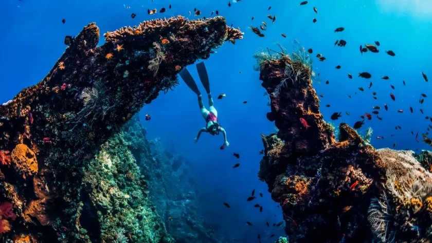 Japanese Shipwreck