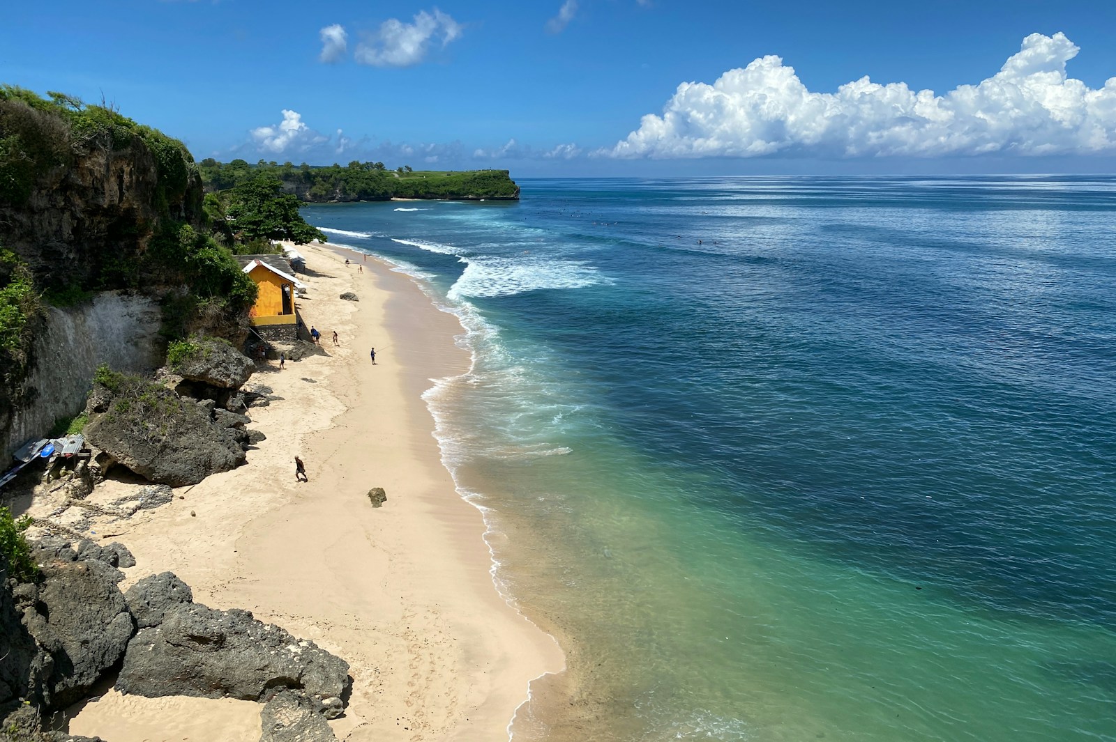 people on beach during daytime