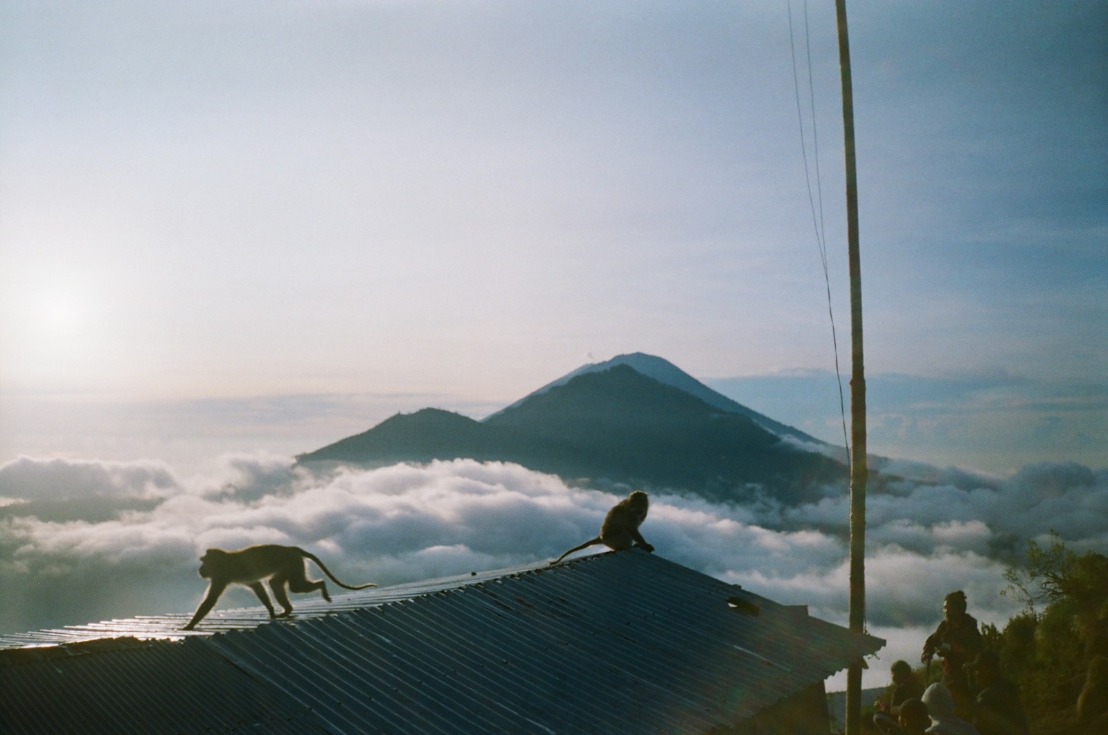 a group of people standing on top of a roof