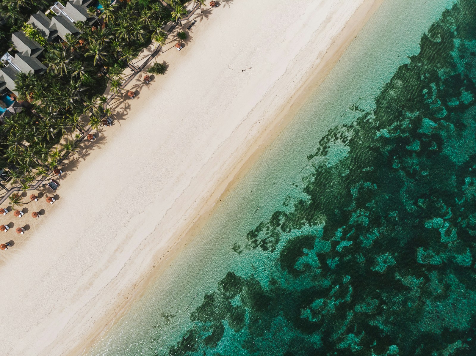 aerial view of beach during daytime